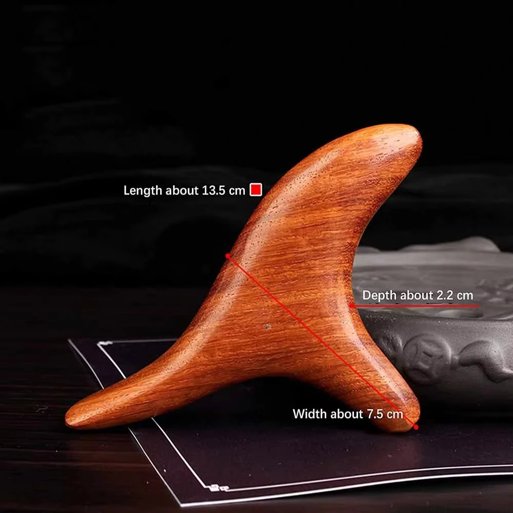 Home Gym Tools - Dla pleców Nóg Dłoni Twarzy 1