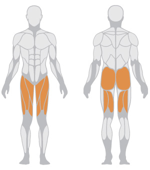Wysokiej jakości komercyjne ur – Leg Press Machine recenzja i cena